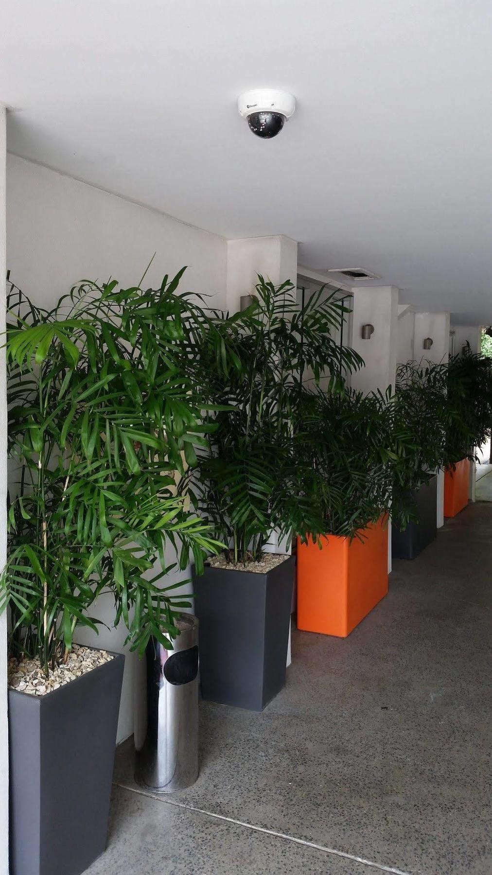 Airport Heritage Motel Brisbane Luaran gambar
